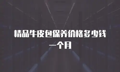 精品牛皮包保养价格多少钱一个月