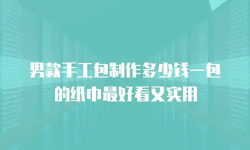 男款手工包制作多少钱一包的纸巾最好看又实用