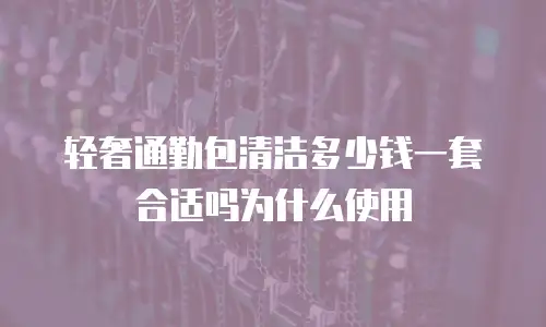 轻奢通勤包清洁多少钱一套合适吗为什么使用