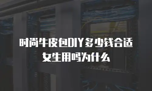 时尚牛皮包DIY多少钱合适女生用吗为什么