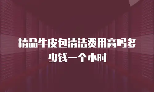 精品牛皮包清洁费用高吗多少钱一个小时