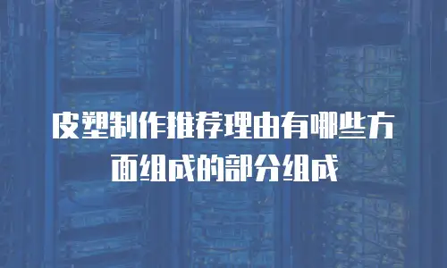 皮塑制作推荐理由有哪些方面组成的部分组成
