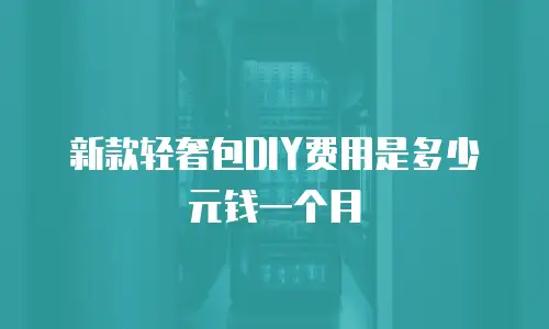 新款轻奢包DIY费用是多少元钱一个月