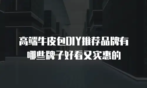 高端牛皮包DIY推荐品牌有哪些牌子好看又实惠的