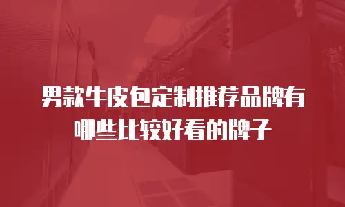 男款牛皮包定制推荐品牌有哪些比较好看的牌子
