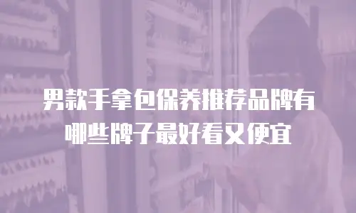 男款手拿包保养推荐品牌有哪些牌子最好看又便宜