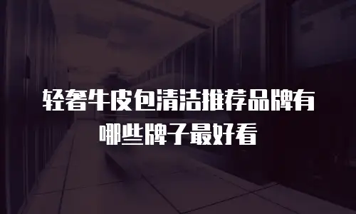 轻奢牛皮包清洁推荐品牌有哪些牌子最好看
