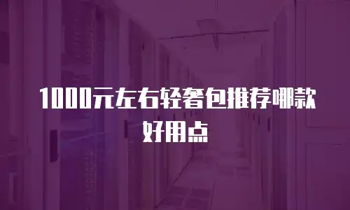 1000元左右轻奢包推荐哪款好用点