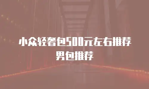小众轻奢包500元左右推荐男包推荐