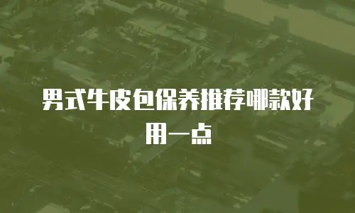 男式牛皮包保养推荐哪款好用一点