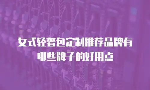 女式轻奢包定制推荐品牌有哪些牌子的好用点