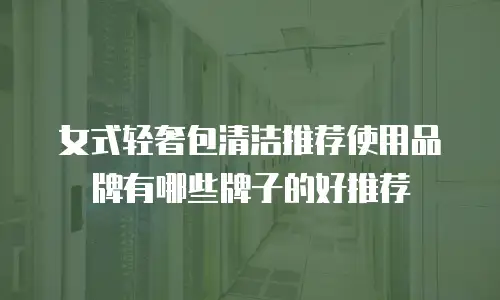 女式轻奢包清洁推荐使用品牌有哪些牌子的好推荐