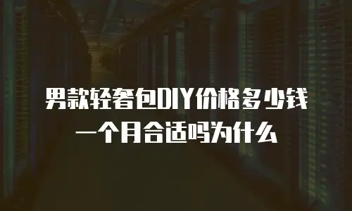 男款轻奢包DIY价格多少钱一个月合适吗为什么
