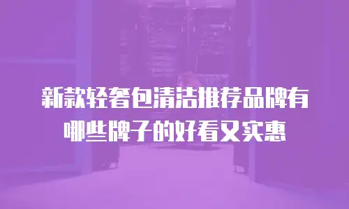新款轻奢包清洁推荐品牌有哪些牌子的好看又实惠