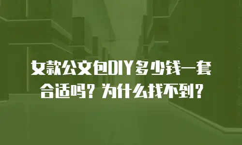 女款公文包DIY多少钱一套合适吗？为什么找不到？