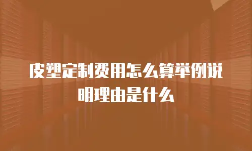 皮塑定制费用怎么算举例说明理由是什么