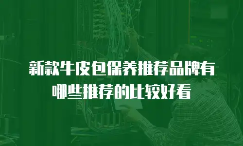 新款牛皮包保养推荐品牌有哪些推荐的比较好看