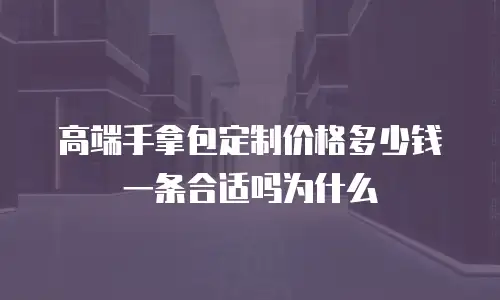 高端手拿包定制价格多少钱一条合适吗为什么