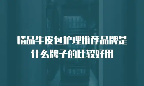 精品牛皮包护理推荐品牌是什么牌子的比较好用