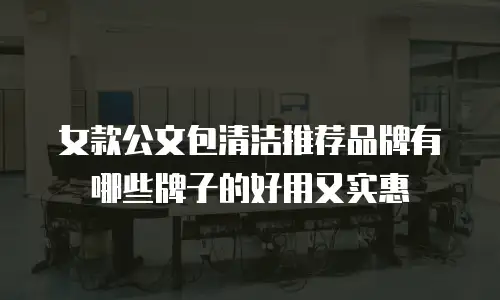 女款公文包清洁推荐品牌有哪些牌子的好用又实惠