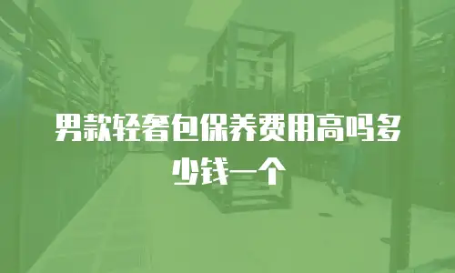 男款轻奢包保养费用高吗多少钱一个