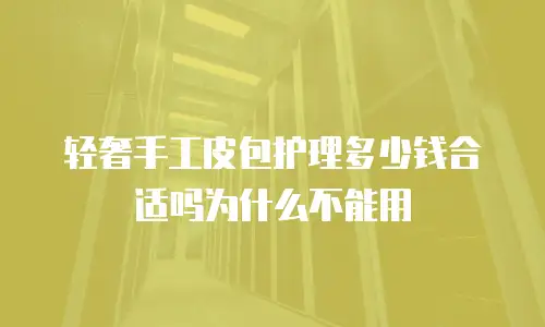 轻奢手工皮包护理多少钱合适吗为什么不能用