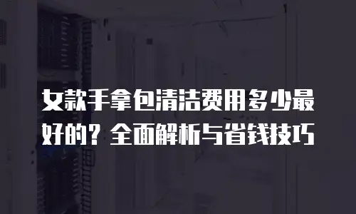 女款手拿包清洁费用多少最好的？全面解析与省钱技巧