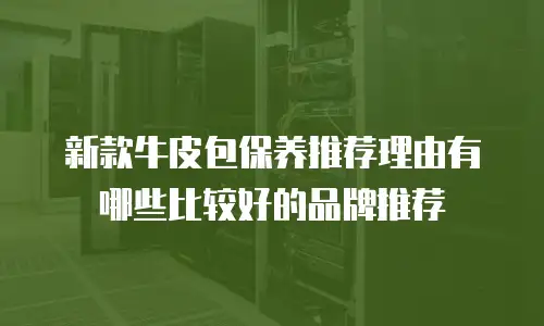 新款牛皮包保养推荐理由有哪些比较好的品牌推荐