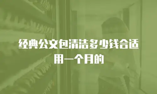 经典公文包清洁多少钱合适用一个月的
