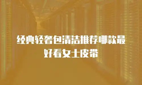 经典轻奢包清洁推荐哪款最好看女士皮带
