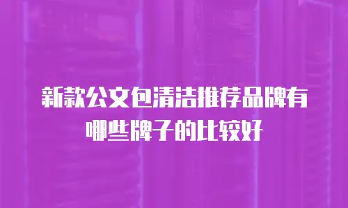 新款公文包清洁推荐品牌有哪些牌子的比较好