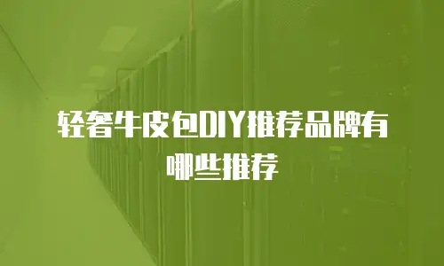 轻奢牛皮包DIY推荐品牌有哪些推荐