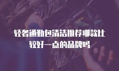 轻奢通勤包清洁推荐哪款比较好一点的品牌吗