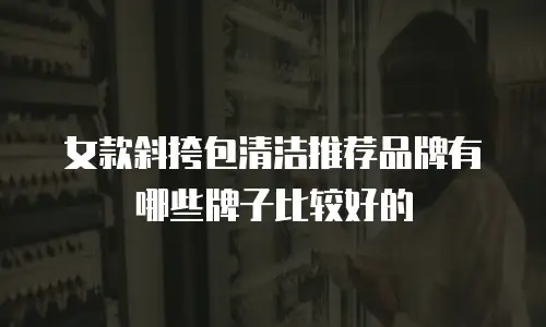 女款斜挎包清洁推荐品牌有哪些牌子比较好的