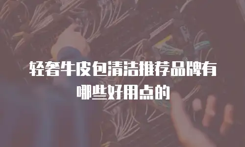 轻奢牛皮包清洁推荐品牌有哪些好用点的