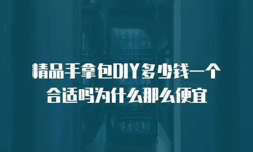 精品手拿包DIY多少钱一个合适吗为什么那么便宜