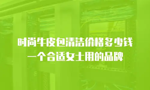 时尚牛皮包清洁价格多少钱一个合适女士用的品牌