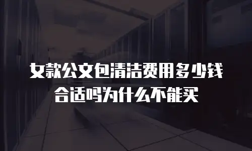女款公文包清洁费用多少钱合适吗为什么不能买