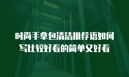 时尚手拿包清洁推荐语如何写比较好看的简单又好看