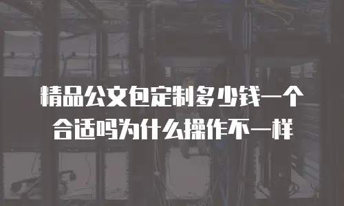 精品公文包定制多少钱一个合适吗为什么操作不一样