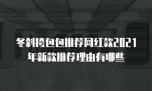 冬斜挎包包推荐网红款2021年新款推荐理由有哪些