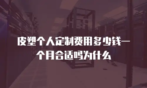 皮塑个人定制费用多少钱一个月合适吗为什么