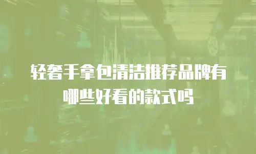 轻奢手拿包清洁推荐品牌有哪些好看的款式吗