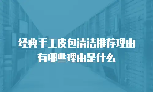 经典手工皮包清洁推荐理由有哪些理由是什么