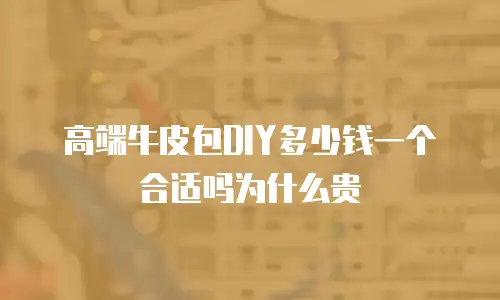 高端牛皮包DIY多少钱一个合适吗为什么贵