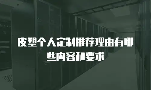 皮塑个人定制推荐理由有哪些内容和要求