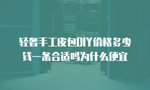 轻奢手工皮包DIY价格多少钱一条合适吗为什么便宜