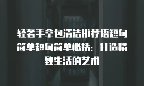 轻奢手拿包清洁推荐语短句简单短句简单概括：打造精致生活的艺术