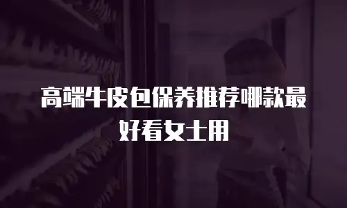 高端牛皮包保养推荐哪款最好看女士用