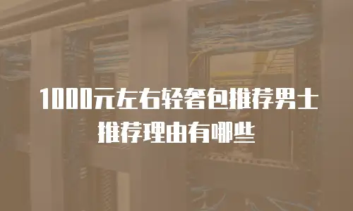 1000元左右轻奢包推荐男士推荐理由有哪些
